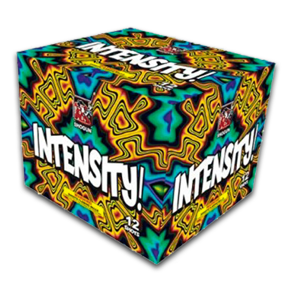 INTENSITY 4/1